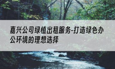 嘉兴公司绿植出租服务-打造绿色办公环境的理想选择