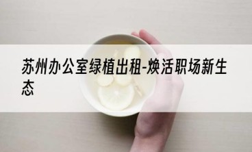 苏州办公室绿植出租-焕活职场新生态