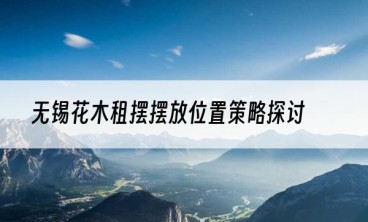 无锡花木租摆摆放位置策略探讨