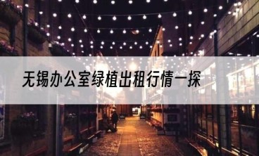 无锡办公室绿植出租行情一探