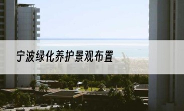 宁波绿化养护景观布置