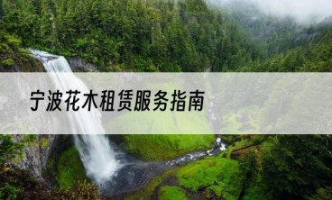 宁波花木租赁服务指南