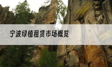 宁波绿植租赁市场概览