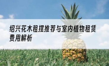 绍兴花木租摆推荐与室内植物租赁费用解析