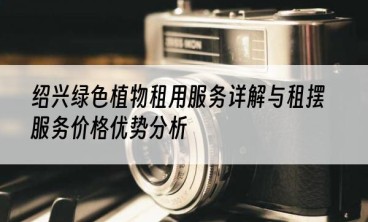 绍兴绿色植物租用服务详解与租摆服务价格优势分析