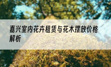 嘉兴室内花卉租赁与花木摆放价格解析