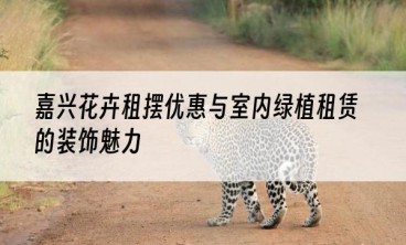 嘉兴花卉租摆优惠与室内绿植租赁的装饰魅力