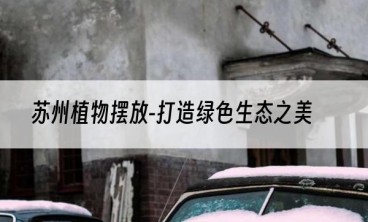 苏州植物摆放-打造绿色生态之美