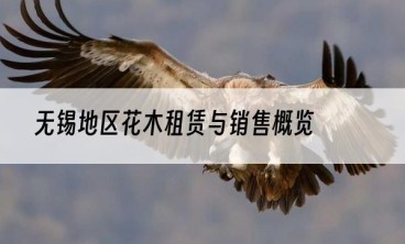 无锡地区花木租赁与销售概览