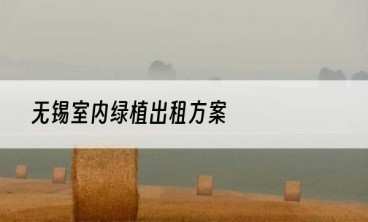 无锡室内绿植出租方案