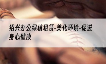 绍兴办公绿植租赁-美化环境-促进身心健康