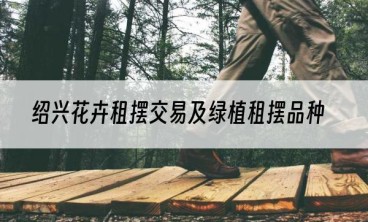 绍兴花卉租摆交易及绿植租摆品种