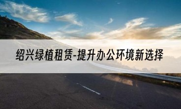 绍兴绿植租赁-提升办公环境新选择