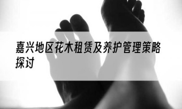 嘉兴地区花木租赁及养护管理策略探讨