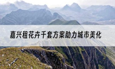 嘉兴租花卉千套方案助力城市美化