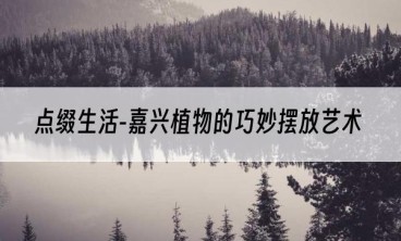 点缀生活-嘉兴植物的巧妙摆放艺术