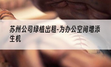 苏州公司绿植出租-为办公空间增添生机