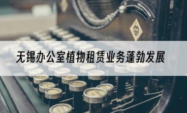 无锡办公室植物租赁业务蓬勃发展