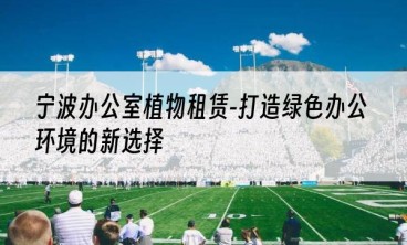 宁波办公室植物租赁-打造绿色办公环境的新选择