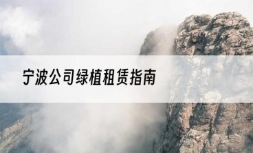 宁波公司绿植租赁指南
