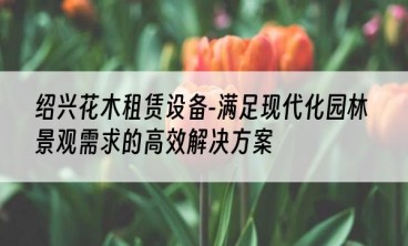 绍兴花木租赁设备-满足现代化园林景观需求的高效解决方案
