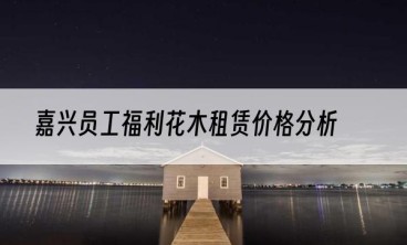 嘉兴员工福利花木租赁价格分析