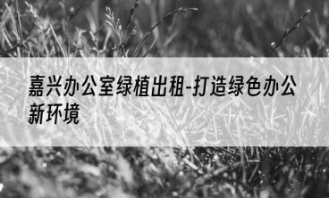 嘉兴办公室绿植出租-打造绿色办公新环境