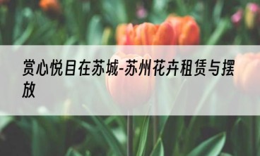 赏心悦目在苏城-苏州花卉租赁与摆放