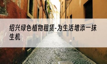 绍兴绿色植物租赁-为生活增添一抹生机
