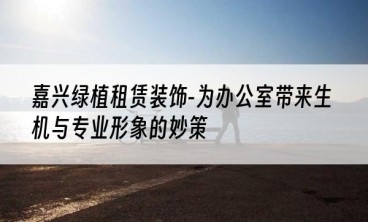 嘉兴绿植租赁装饰-为办公室带来生机与专业形象的妙策