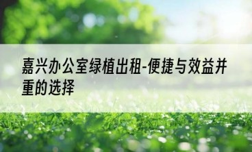 嘉兴办公室绿植出租-便捷与效益并重的选择