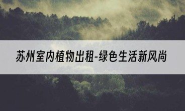 苏州室内植物出租-绿色生活新风尚