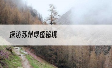 探访苏州绿植秘境