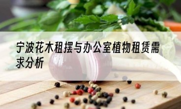 宁波花木租摆与办公室植物租赁需求分析