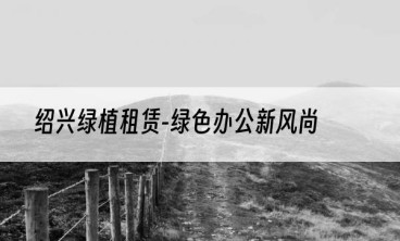 绍兴绿植租赁-绿色办公新风尚