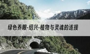 绿色养眼-绍兴-植物与灵魂的连接
