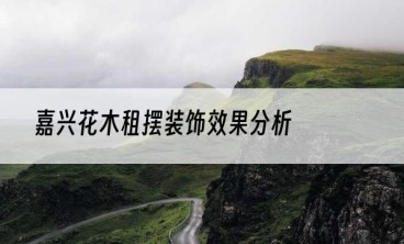 嘉兴花木租摆装饰效果分析