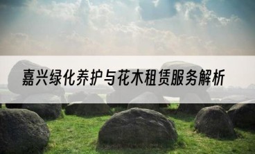 嘉兴绿化养护与花木租赁服务解析