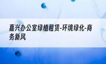嘉兴办公室绿植租赁-环境绿化-商务新风