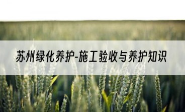 苏州绿化养护-施工验收与养护知识