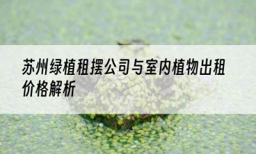 苏州绿植租摆公司与室内植物出租价格解析