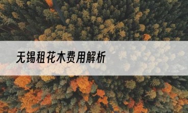 无锡租花木费用解析