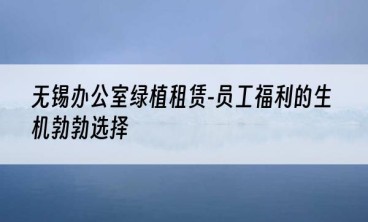 无锡办公室绿植租赁-员工福利的生机勃勃选择
