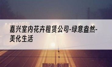 嘉兴室内花卉租赁公司-绿意盎然-美化生活