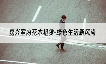 嘉兴室内花木租赁-绿色生活新风尚