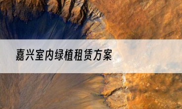 嘉兴室内绿植租赁方案