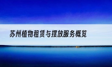 苏州植物租赁与摆放服务概览