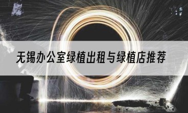 无锡办公室绿植出租与绿植店推荐