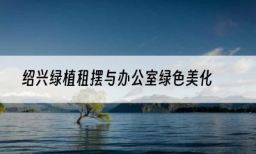 绍兴绿植租摆与办公室绿色美化