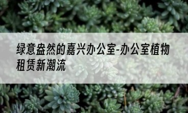 绿意盎然的嘉兴办公室-办公室植物租赁新潮流